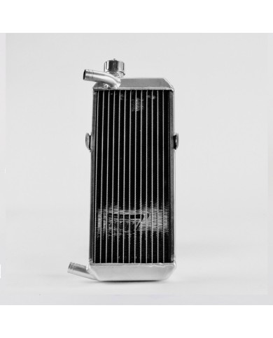 Radiatore compatibile con ROTAX
