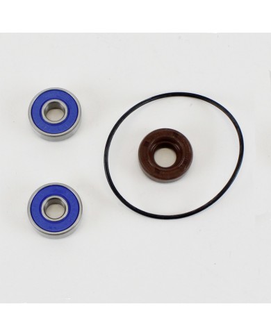 Kit revisione pompa racing