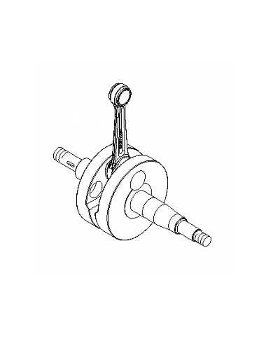 ASSIEME ALBERO MOTORE EKL