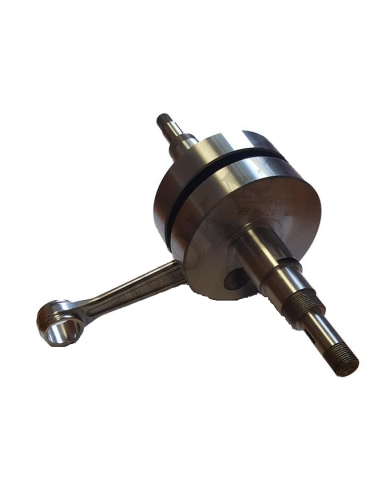 ASSIEME ALBERO MOTORE EKJ