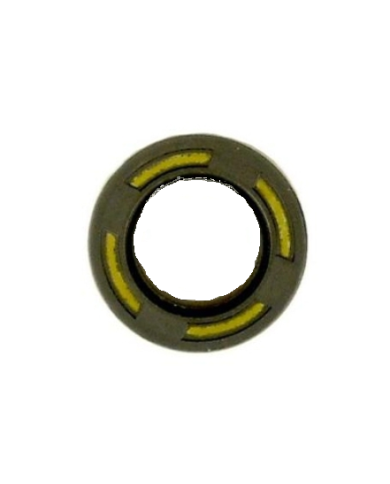 PARAOLIO FPJ 25X40X7 GS ARS C2