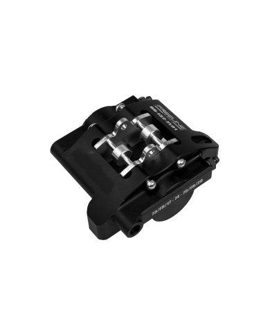 ASSIEME PINZA RR-I32x2 FL01
