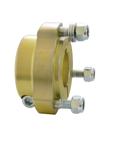 Mozzo posteriore 30x35 oro completo