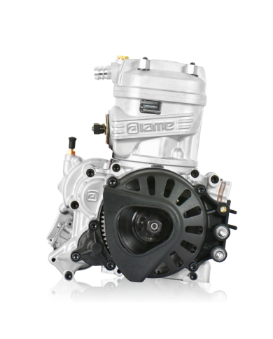 Motore Iame X30 125cc