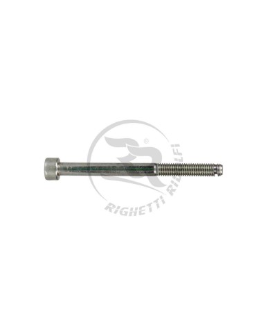 Vite M5x60 per fissaggio Pastiglia MA20