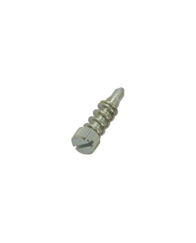Kit Vite Regolazione Valvola 53027 Dell'Orto