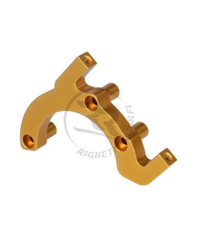 Supporto con Inclinazione 35° Oro per Pinza Speed Evo Posteriore
