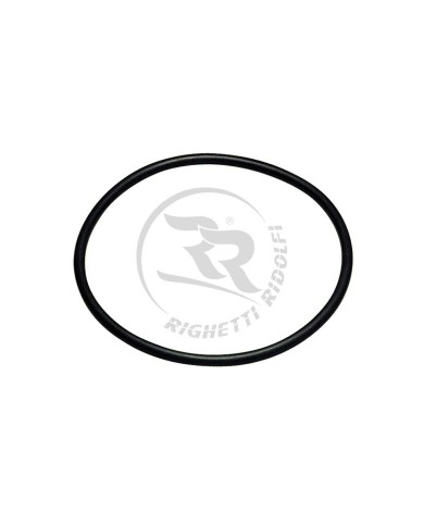 O-Ring per Staffa Supporto Serbatoietto Recupero