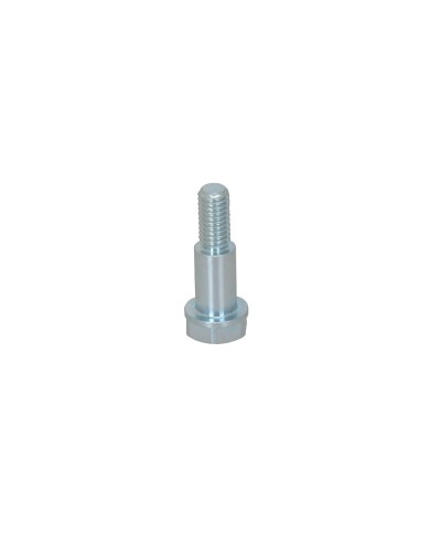 Vite M6-D8 L.12,2mm per Disco Freno Flottante Posteriore