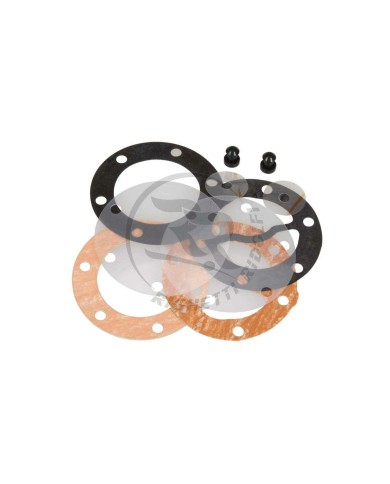Kit di Revisione per Pompa Benzina Mikuni DF44-18
