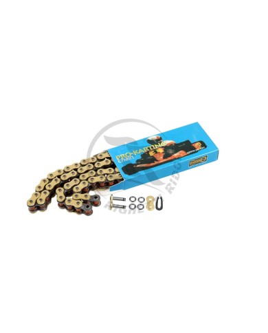Catena REGINA 428 ORN