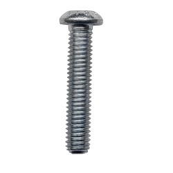 Vite M6x30 bombata